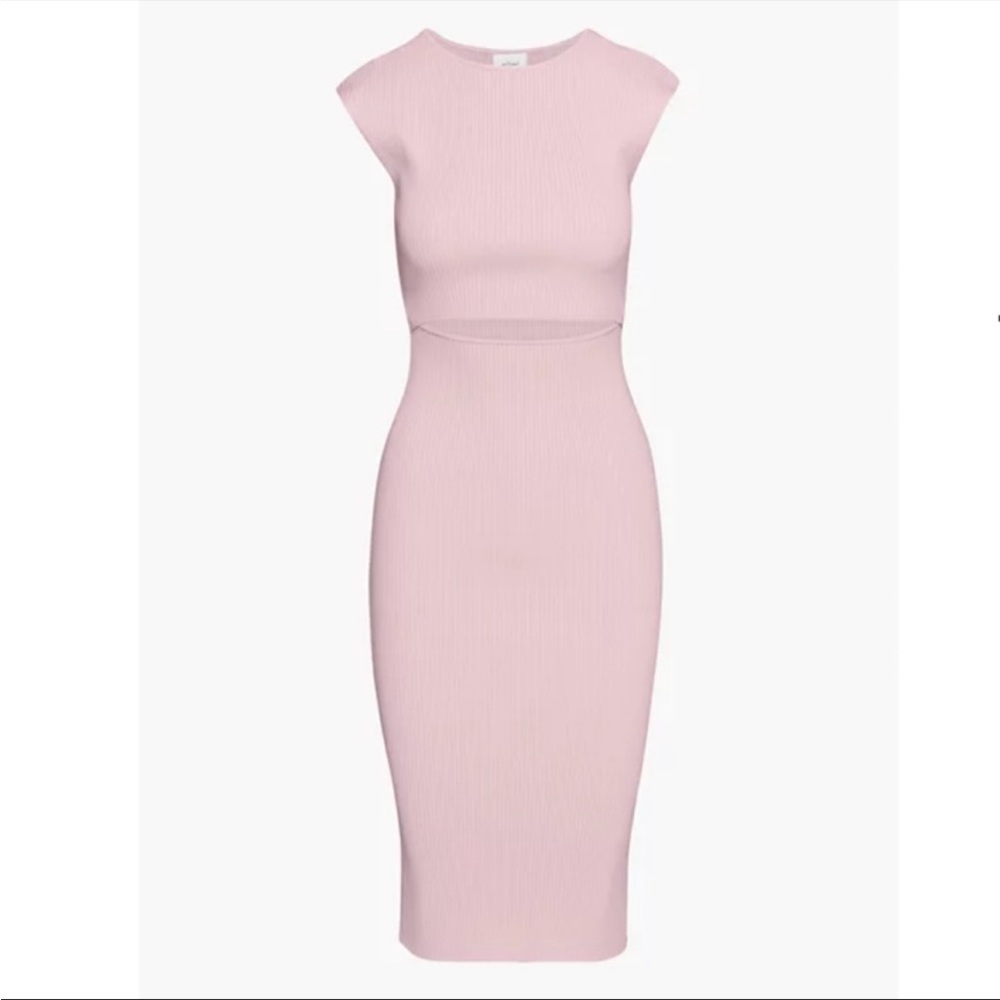 Aritzia Pink Midi Dress